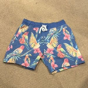 Chubbies parrot sweat shorts